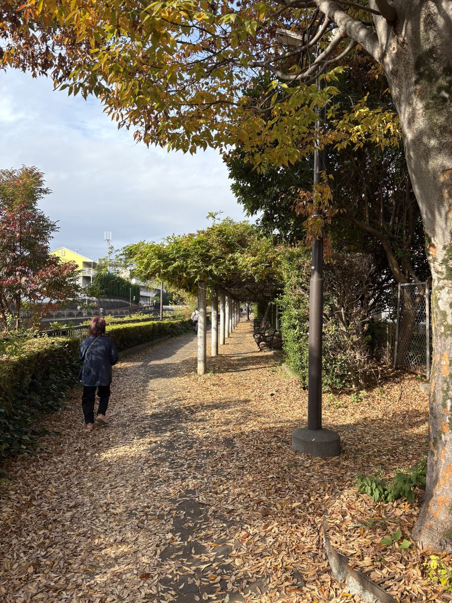 hyper_cowboy's tweet image. 午前中、来週末参加のFun Run 4kmの足慣らしランをいつもの川沿いコースを🏃‍♂️‍➡️ んんん…4kmくらいなら心臓は大丈夫と思うけどあちこち筋肉がピキッとなって怖いわーww #小江戸川越ハーフマラソン #funrun #ジョギング