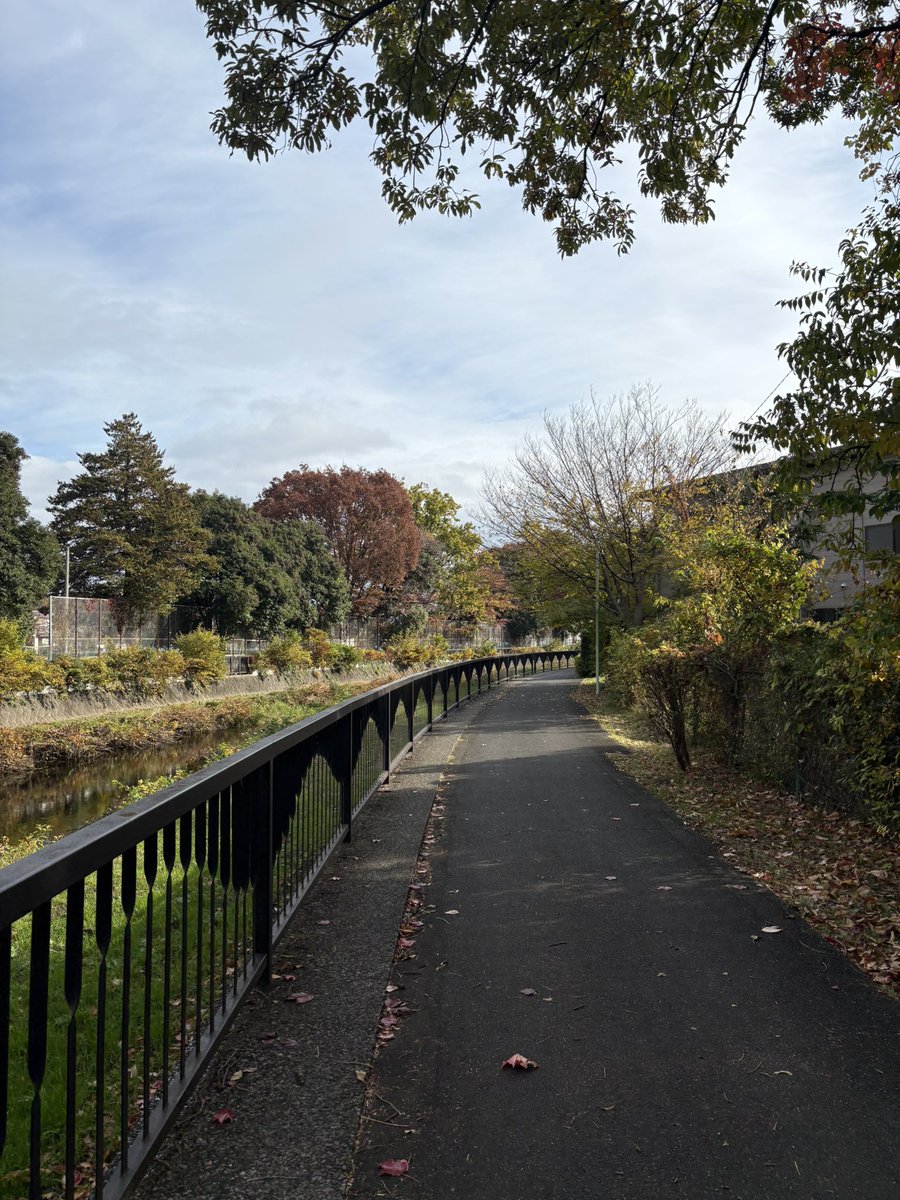 hyper_cowboy's tweet image. 午前中、来週末参加のFun Run 4kmの足慣らしランをいつもの川沿いコースを🏃‍♂️‍➡️ んんん…4kmくらいなら心臓は大丈夫と思うけどあちこち筋肉がピキッとなって怖いわーww #小江戸川越ハーフマラソン #funrun #ジョギング