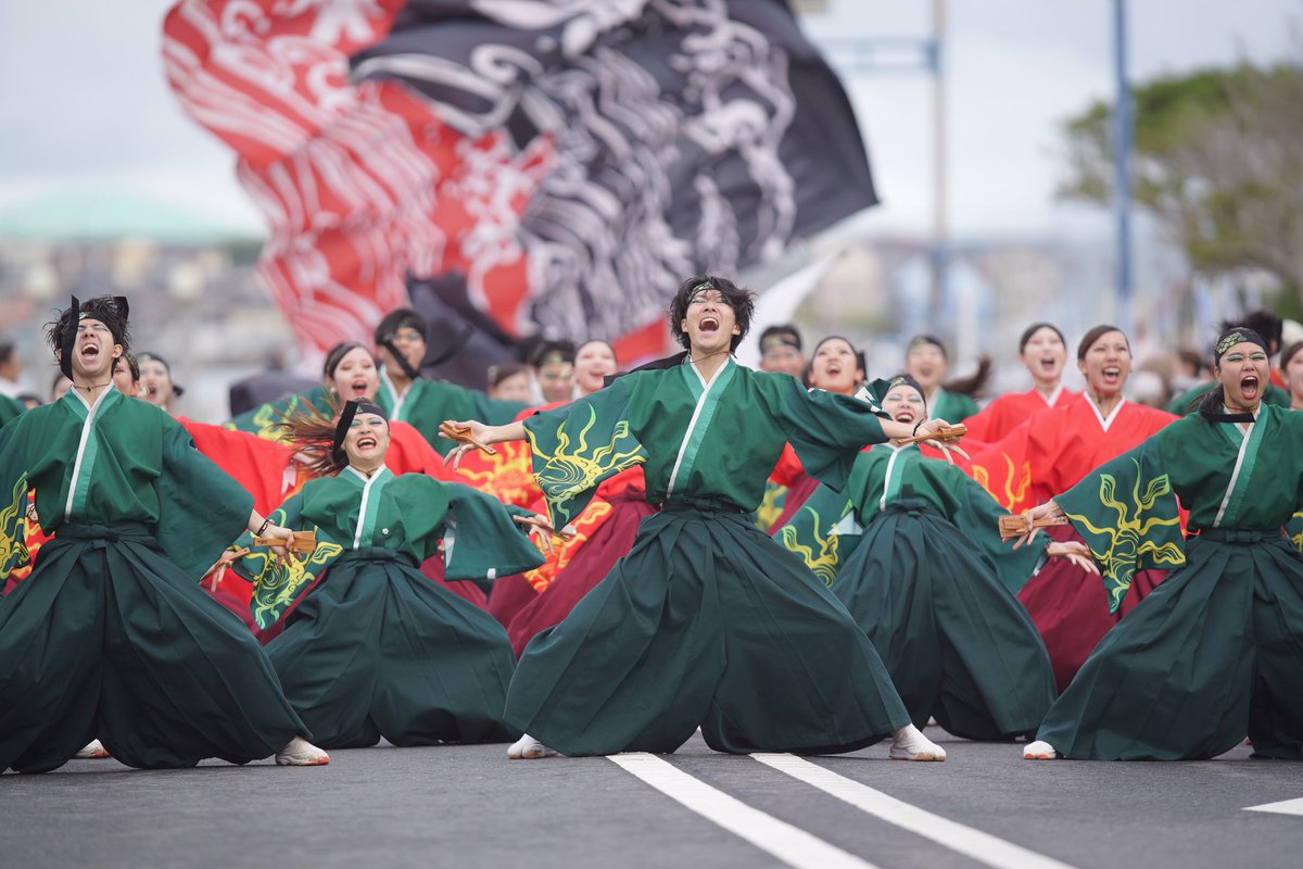 若欅-wakakeyaki-さん 2025.11.23㈰ 第22回黒潮よさこい祭り シンボル