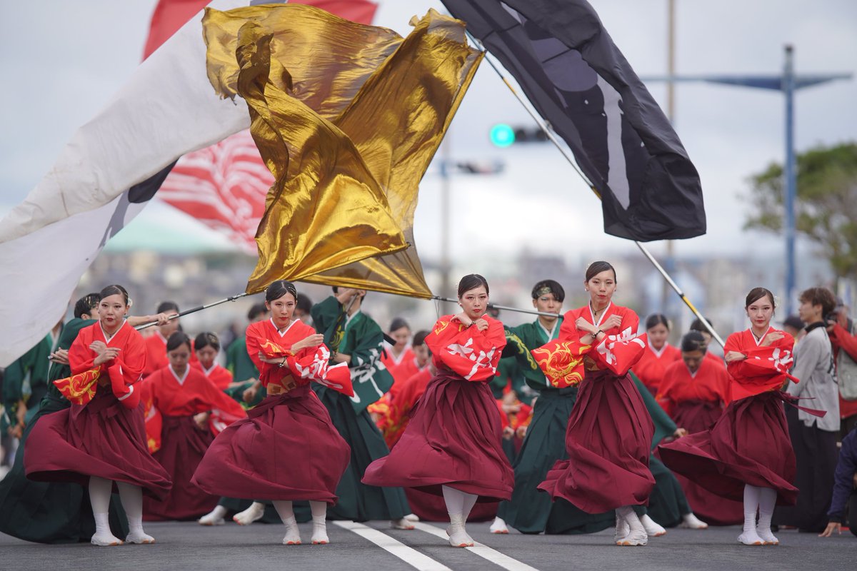 若欅-wakakeyaki-さん 2025.11.23㈰ 第22回黒潮よさこい祭り シンボル