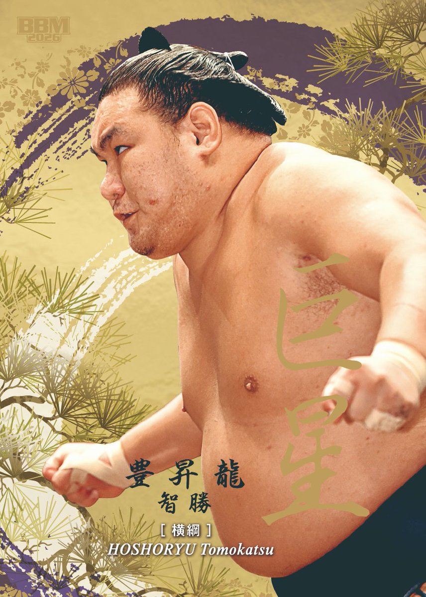 CARDS インサートカード　巨星　豊昇龍 SUMO BBM 2026 大相撲