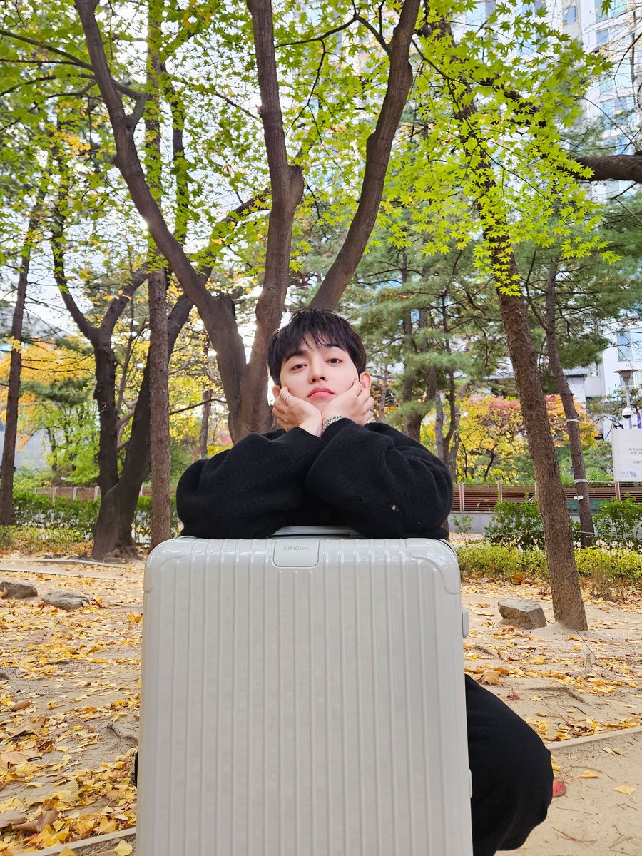 sounds_of_cheol's tweet image. sound_of_coups 🩶🍃