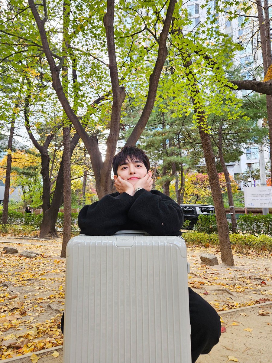 sounds_of_cheol's tweet image. sound_of_coups 🩶🍃