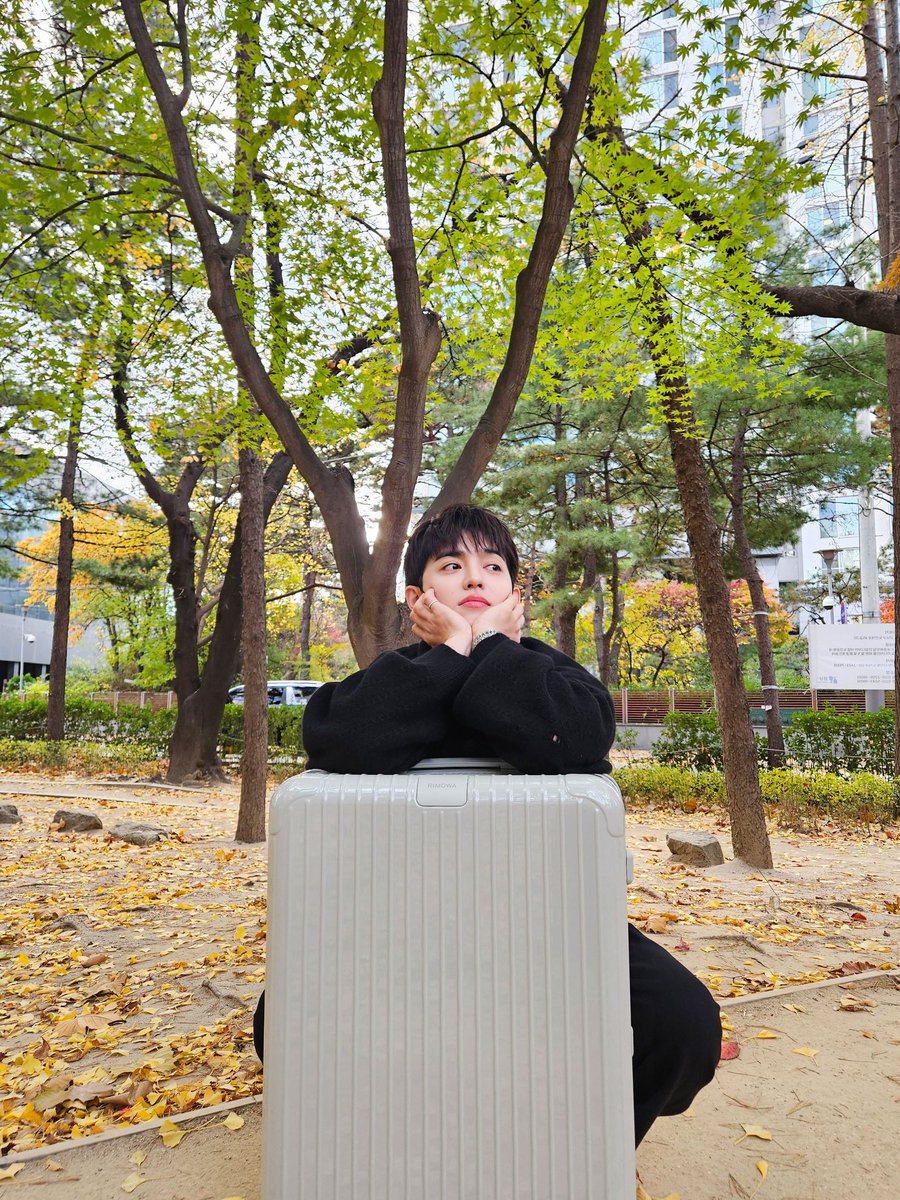 sounds_of_cheol's tweet image. sound_of_coups 🩶🍃