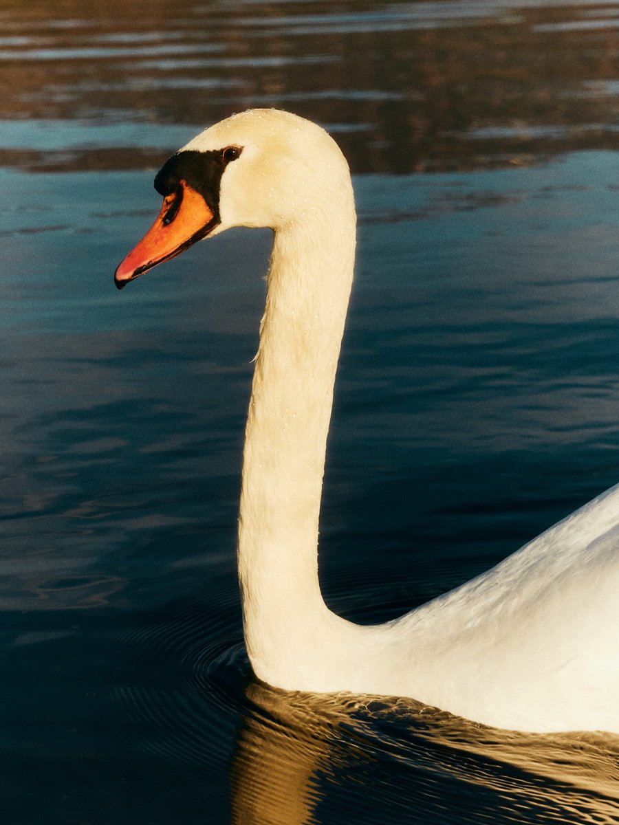 静かな朝の息吹き。
ー
Leica SL2
NiSi Black Magic Diffusion 1/4