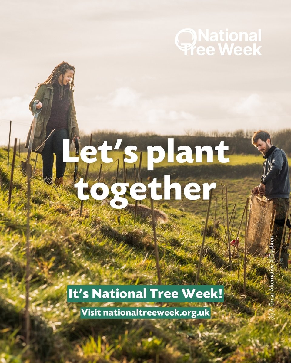 LeicsCountyHall's tweet image. Did you know? 🌳 One mature tree can absorb up to 48 pounds of carbon dioxide a year and provide enough oxygen for four people daily! Trees are nature’s climate heroes.
Do your bit to boost trees in Leicestershire by planting a tree this National Tree Week!
#TreeWeek #TreeFacts