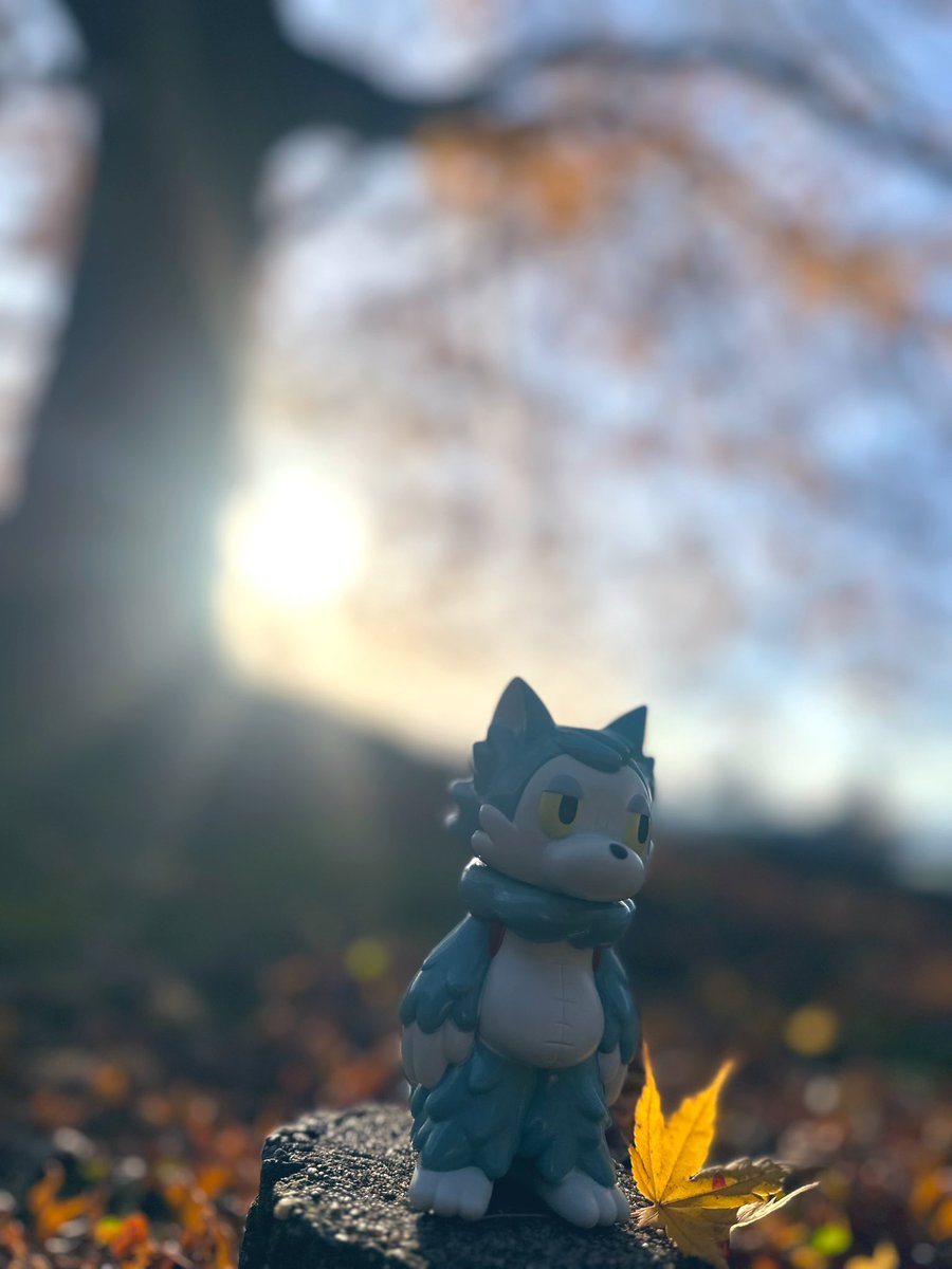 pekori_pekorin's tweet image. 秋とおおかみくん🐺🍁🍂
#あらいきりこ