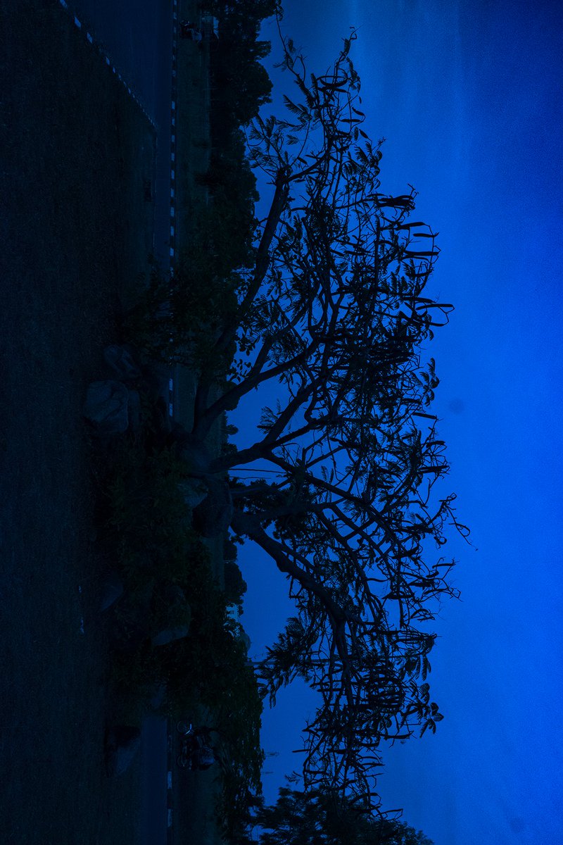 "Uwar Zama" (The Mother Who Lingers)

First attempt. 🙂‍↔️