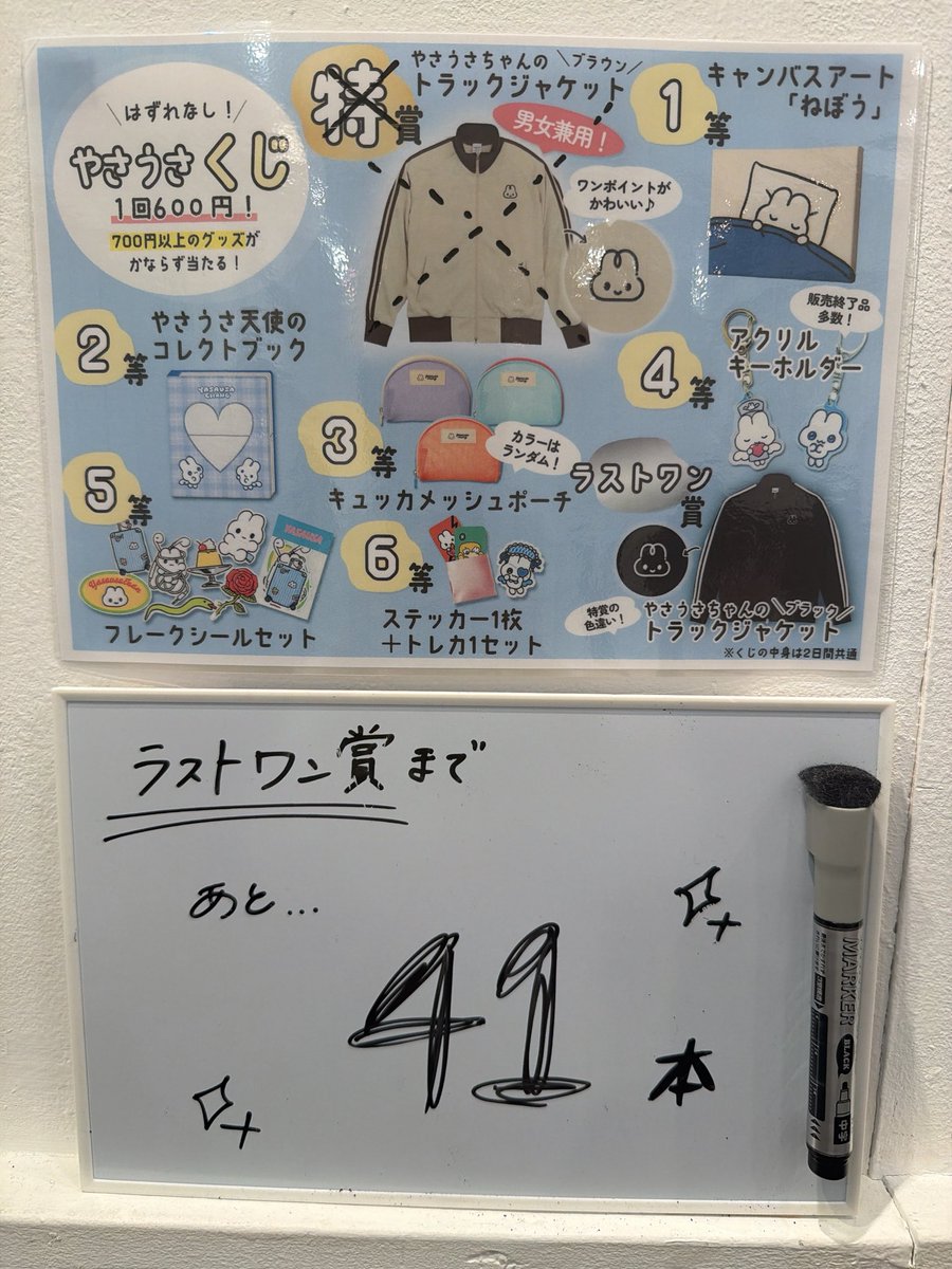 公式】やさうさちゃん情報局 (@yasausaofficial) / Posts / X