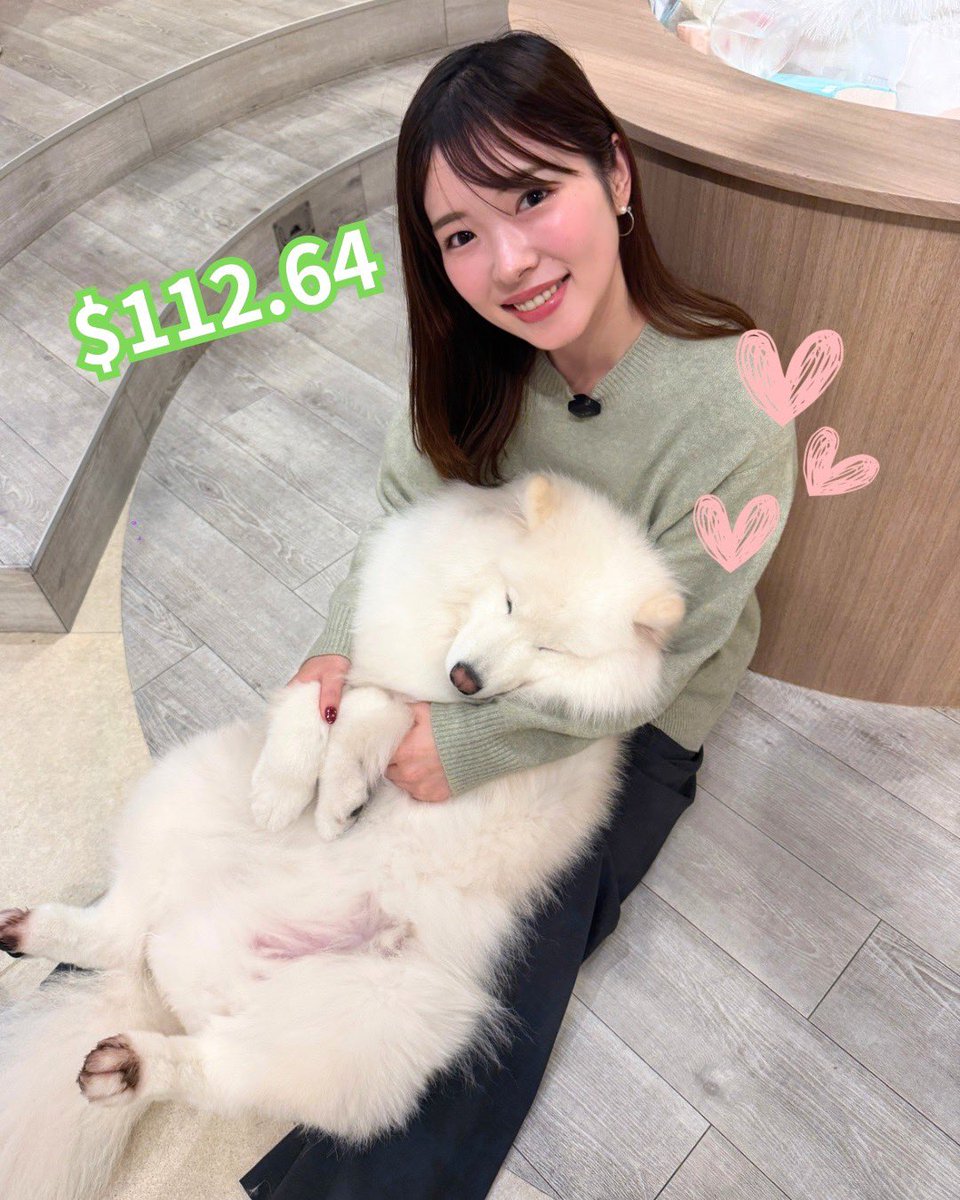 ＼＼🐶不労所得チャレンジ🐶／／

今日は$112.64=17,694円！

相場が微妙なときはサモエドさんで癒されましょ🐕🫶

大人しくて可愛かった...😭💕

Support by <a href="/edgeX_exchange/">edgeX🦭</a>