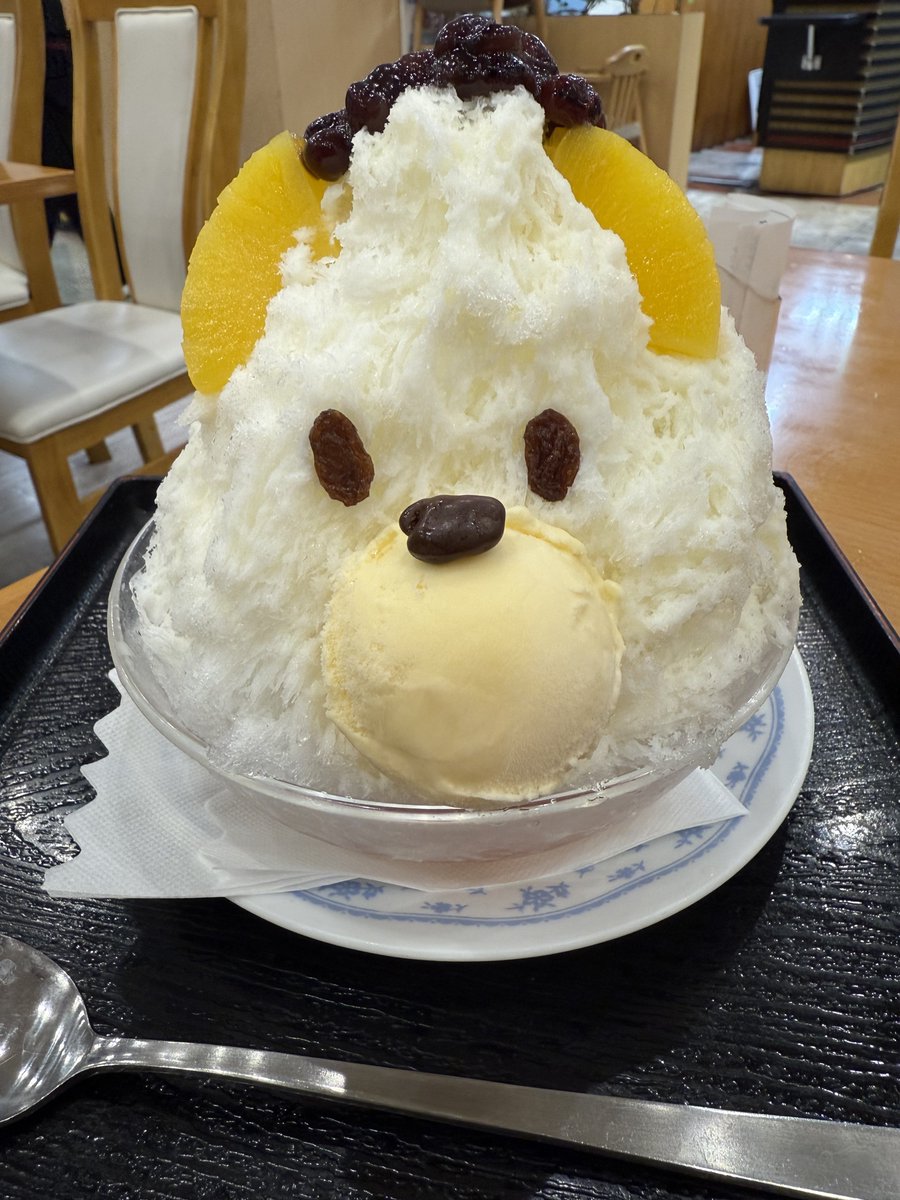 川久のとんかつはやはりうますぎたね
鹿児島めちゃ楽しかった〜〜〜

また来年きます
ほなまた鹿児島