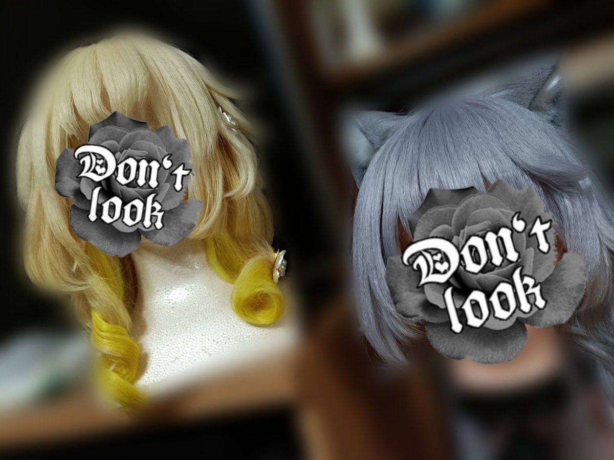 衣装間に合えば…🐈‍⬛予定…🐾