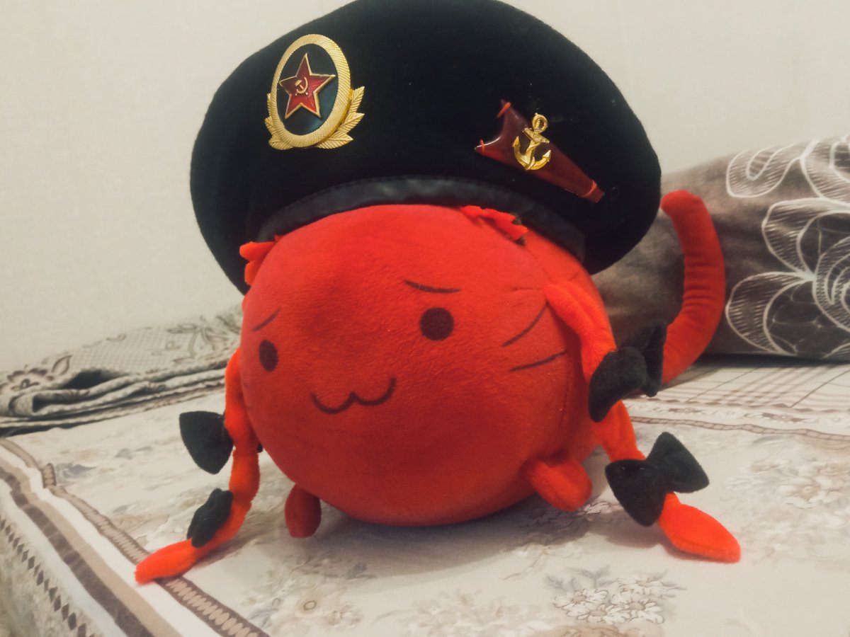 Solomonitch tweet media