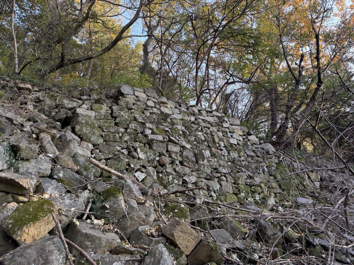 BackInMusashi's tweet image. この記事を参考に慶尚南道南海郡の露梁山城に行って来ました。場所によって城壁の積み方が異なっているのが観察出来ます。標高159mのその名も&quot;山城山&quot;の山頂に残っています。
남해 노량산성, 문화재적 가치를 인정받다 nhtimes.co.kr/news/articleVi…