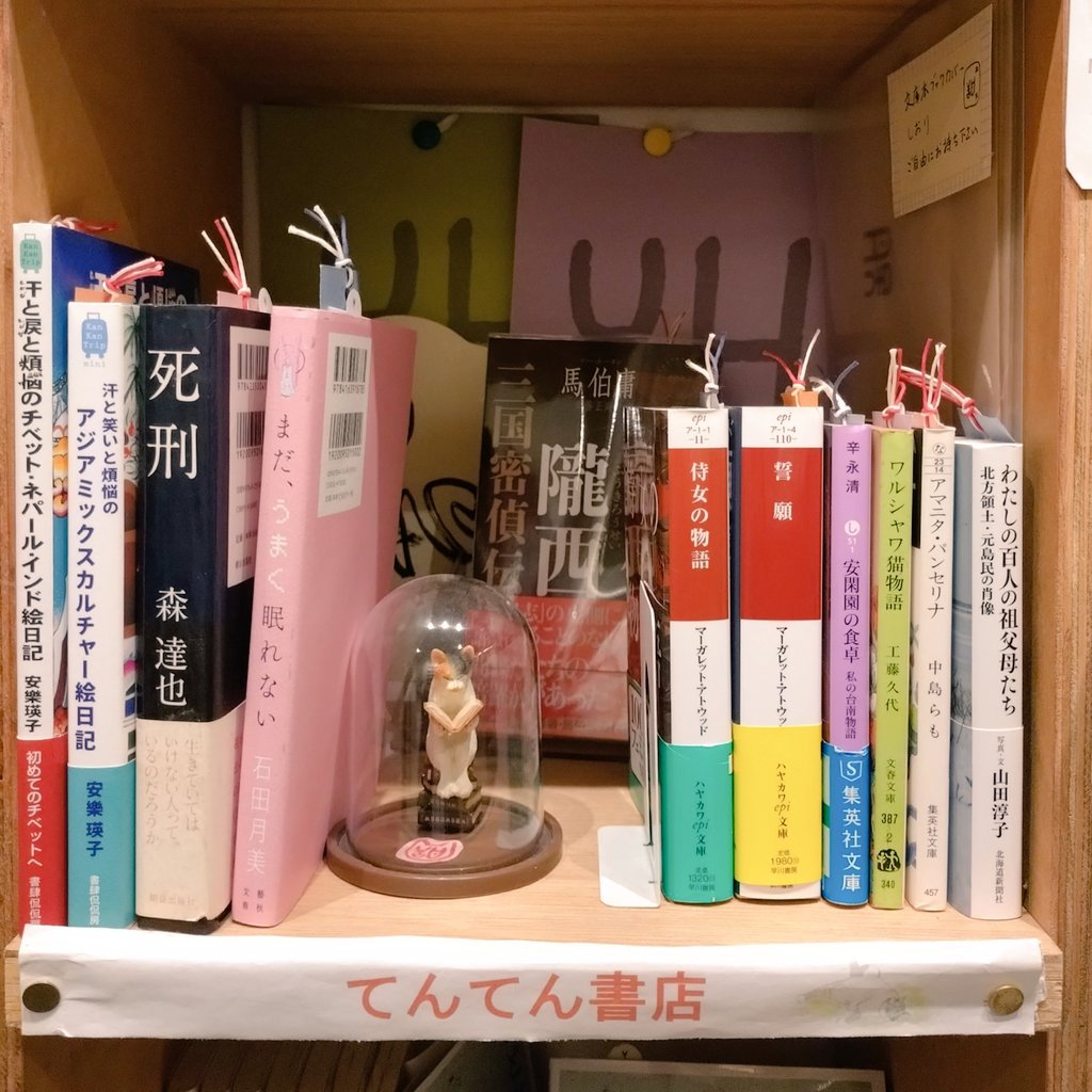 棚を少し入れ替えました。
三連休あと一日残ってます。
一乗寺は徒歩圏内で紅葉が楽しめます。お勧めは曼殊院から鷺森神社あたり🍁
#一乗寺ブクアパ