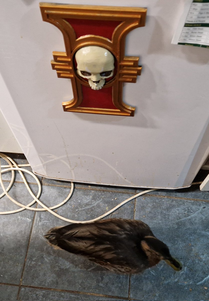 WARHAMMERDADDY's tweet photo. Made a fridge magnet. Duck for scale #duck #fridge #fridgemagnet #inquisition #ordo #ordohereticus #warhammer #Warhammer40000 #art #hobby #painting https://t.co/9o5dcN6DZm