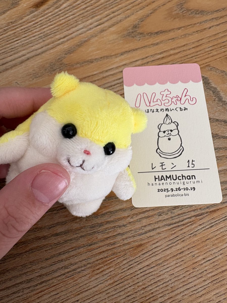 ハムちゃん＋Project (@HamuKikaku) / Posts / X