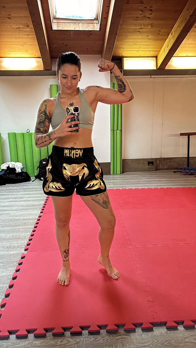 Beatricewrestler tweet media