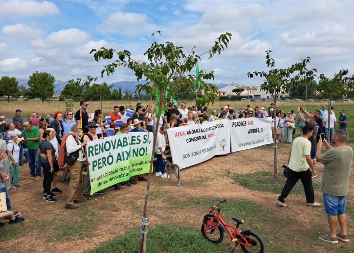 AssembSmallorcA's tweet image. ‼️Son Bonet Pulmó Verd recull signatures per a la protecció legal de l’espai verd, lliure i públic, davant la pretensió d&apos;AENA d&apos;explotar-lo amb un parc fotovoltaic. Podeu signar AQUÍ
⬇️ ⬇️
c.org/xDx5bjVH6R