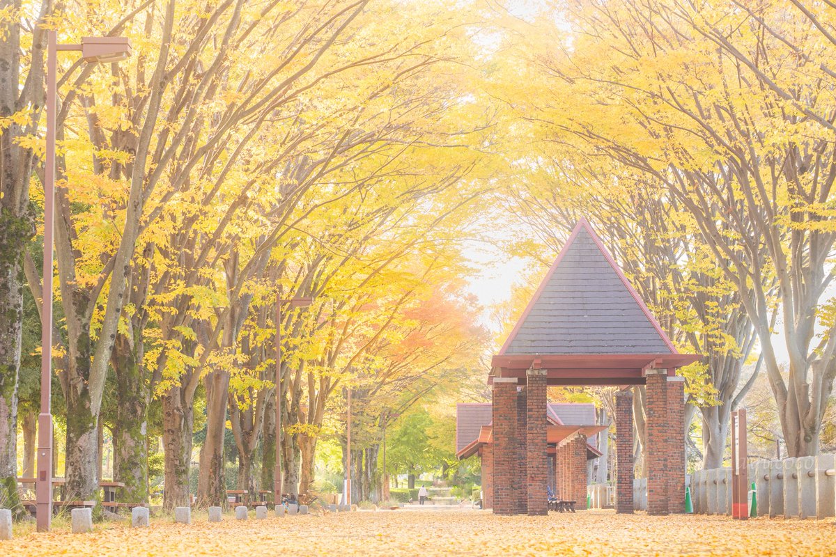 穏やかな時を𓂃𓈒𓂂𓇬

#TLを花でいっぱいにしよう  
#写真好きな人と繋がりたい  
#NaturePhotography