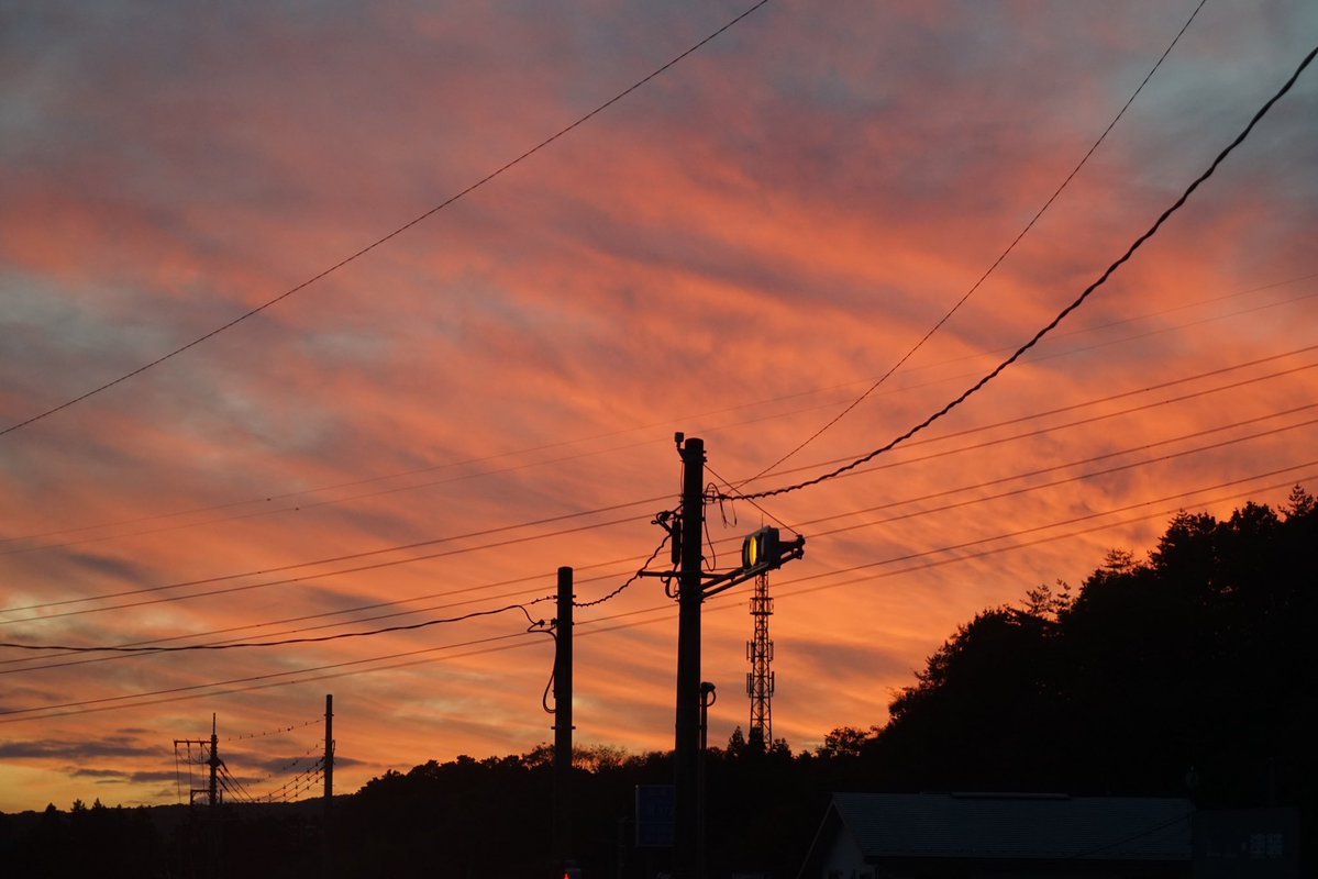 giantrogo's tweet image. 冬だねぇ。