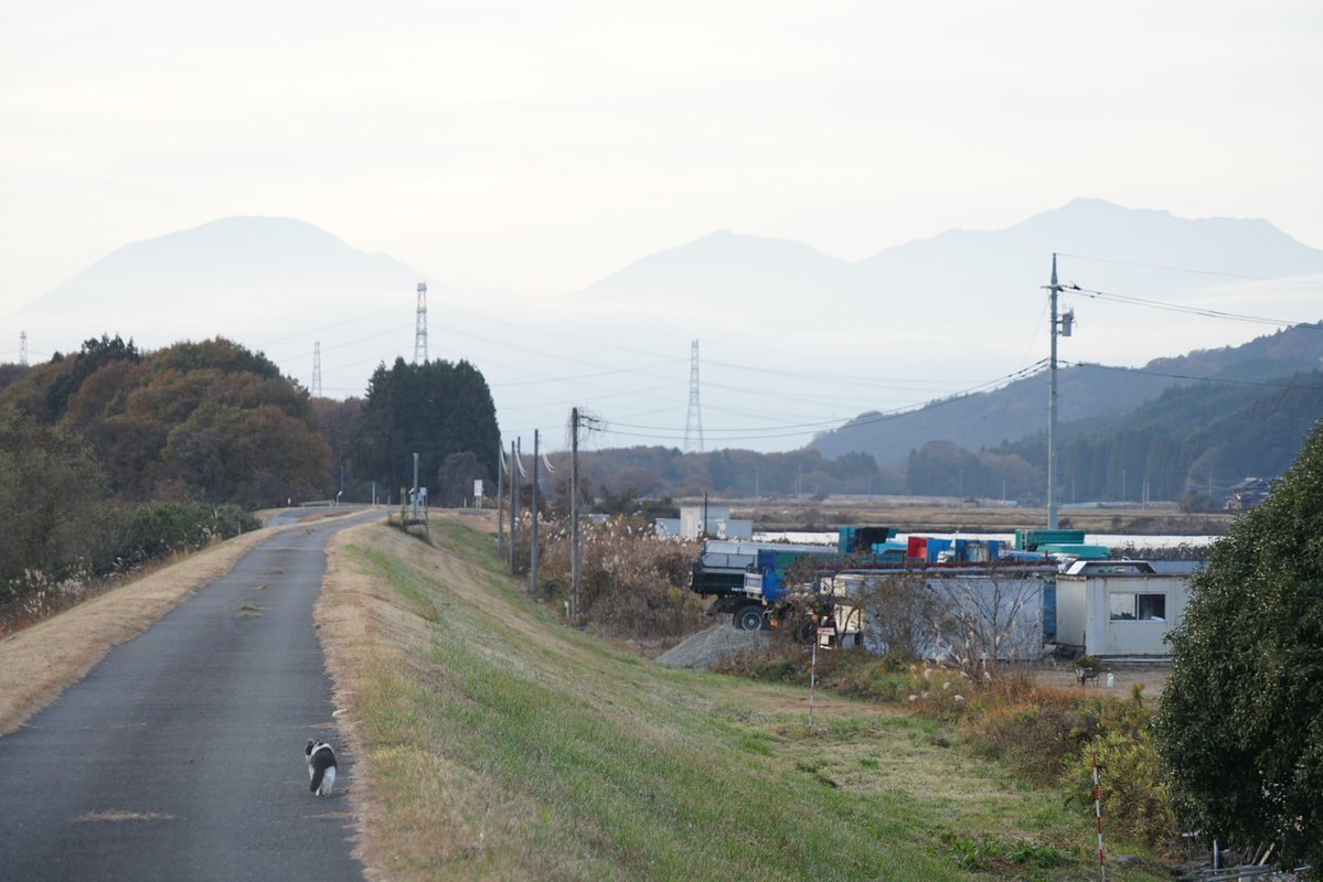 giantrogo's tweet image. 冬だねぇ。