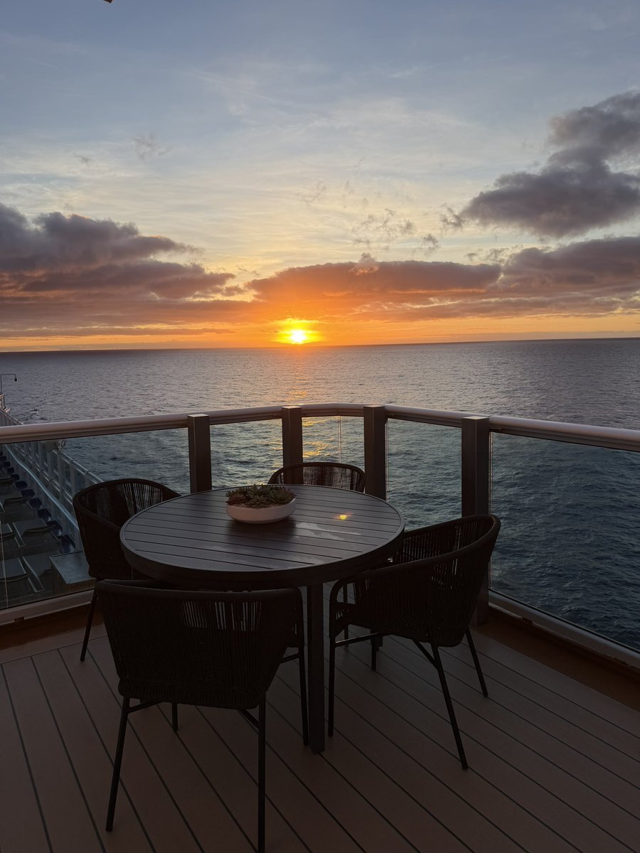 Danielle tweet media