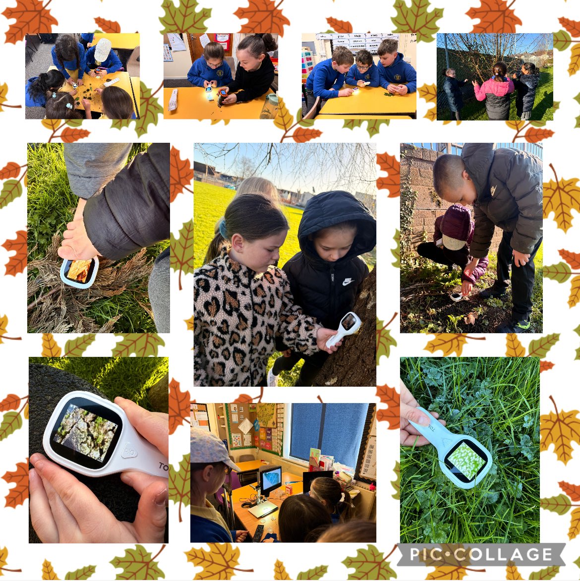 RichmondParkCPS's tweet image. #PenfroRPS had a fantastic and informative learning experience this week using microscopes to look at objects in greater detail. 👀 🌿🍂🍁🌲🕵🏽‍♂️
When we returned to class we used larger monitors to look at our findings in even greater detail!! 🌲🍁🍂🌿🕵🏼 👀 #ACLRPS #STRPS #DCFRPS