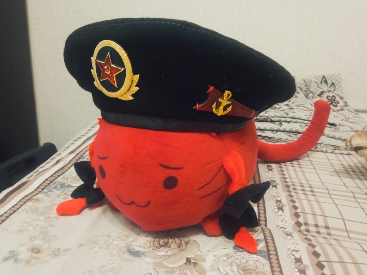 Solomonitch tweet media