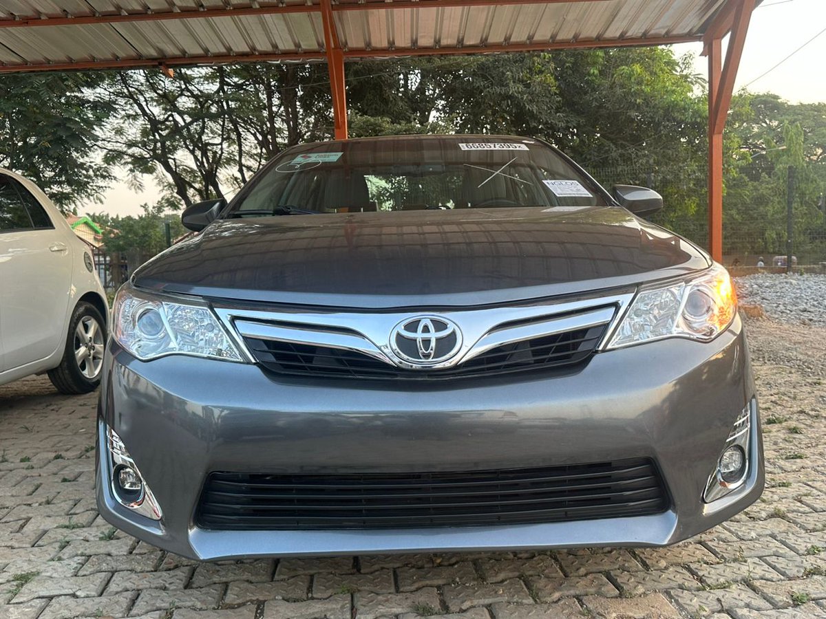 specmanreal's tweet image. 