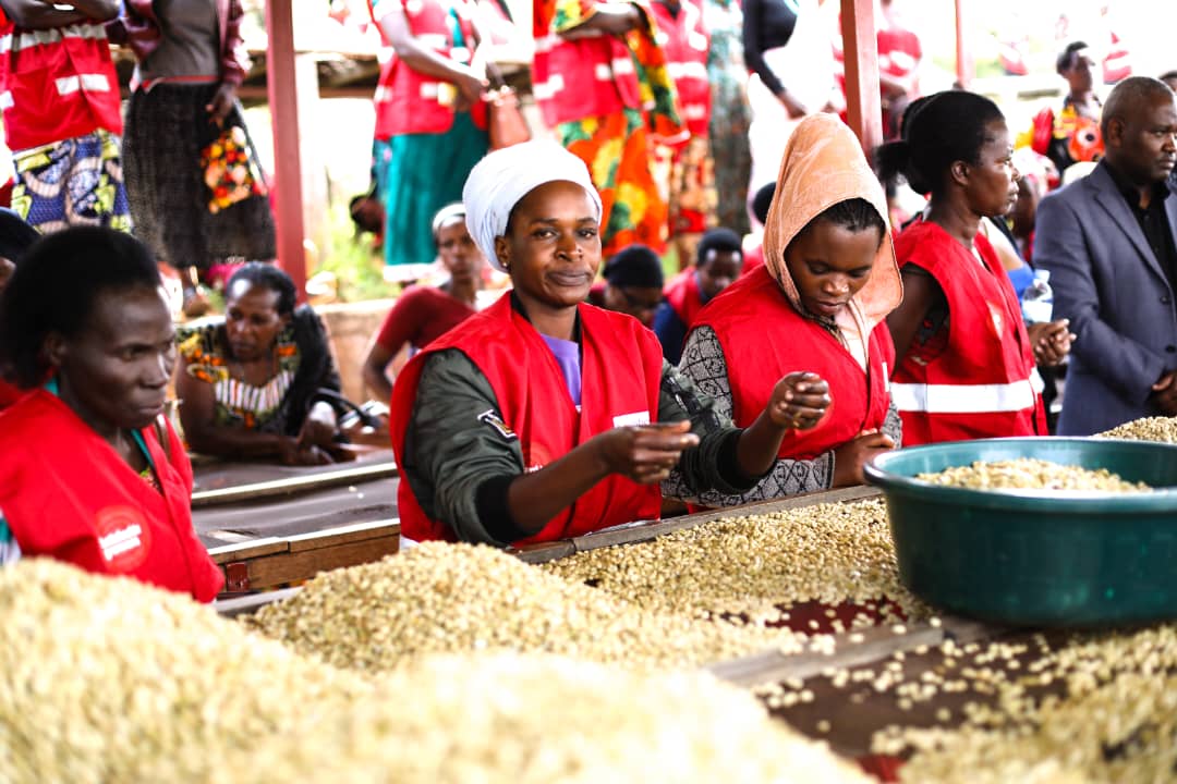 <a href="/AimeNiyonsenga/">Aime Niyonsenga</a> <a href="/SectorMuyongwe/">MUYONGWE Sector</a> <a href="/RwandaNorth/">Northern Province/ Rwanda</a> Umunyamabanga Uhoraho muri Perezidansi, Frank Gatera, yavuze ko nubwo Akarere kadafite ibiyaga cyangwa ibirunga, gafite ibindi bikorwa by’ubukerarugendo byakurura abagasura bakanagashoramo imari birimo Mt Kabuye, ivubiro rya Huro, ubukerarugendo bushingiye kuri kawa n'ibindi