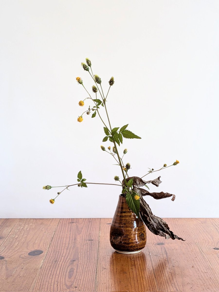 shoga_owner's tweet photo. Day266,267,268
#ikebana #morningikebana https://t.co/M2i7cY9S2B