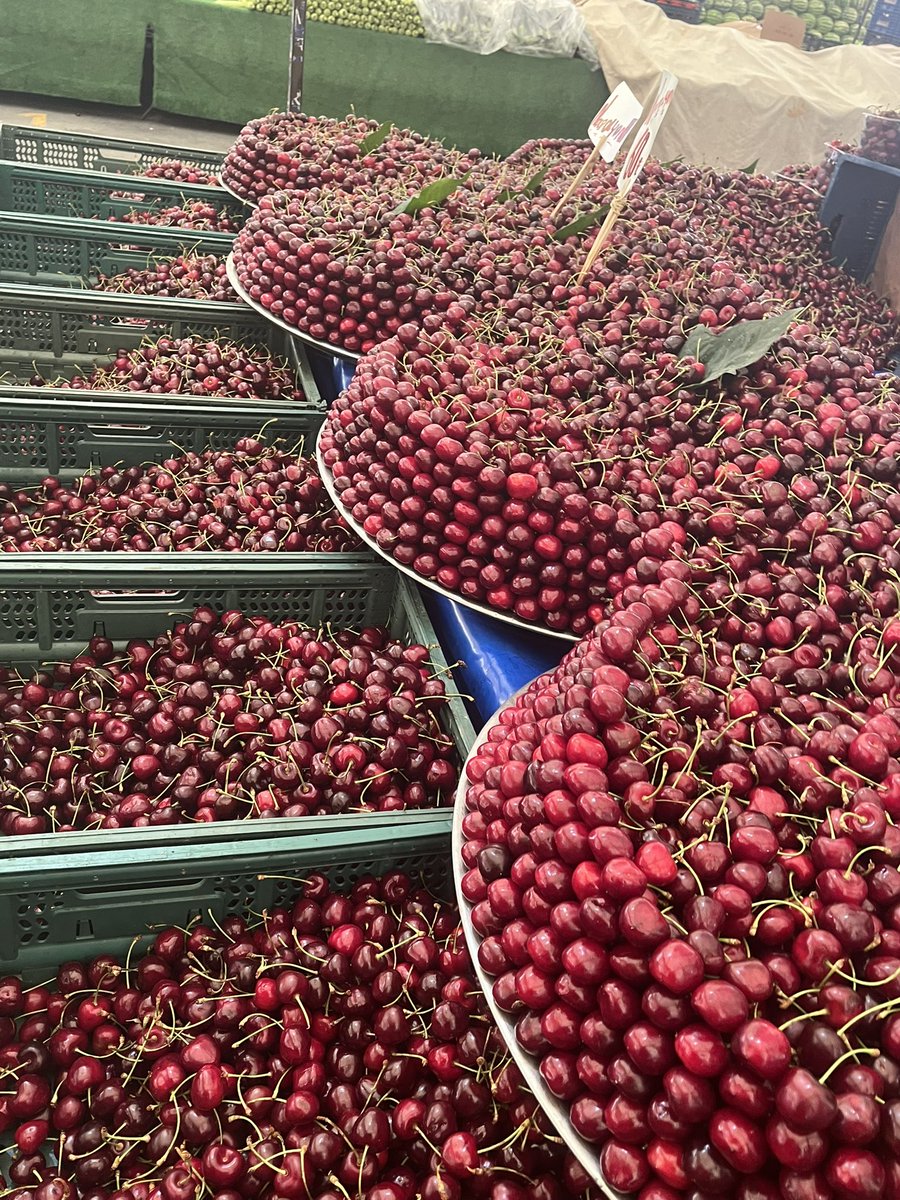 Seni satarsak şerefimizi satarız