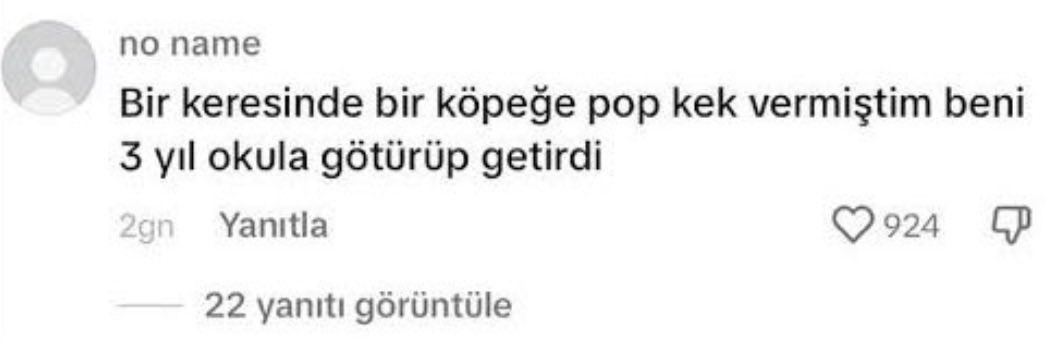 kore savaşından beri koreli kardeşlerin bize hürmet