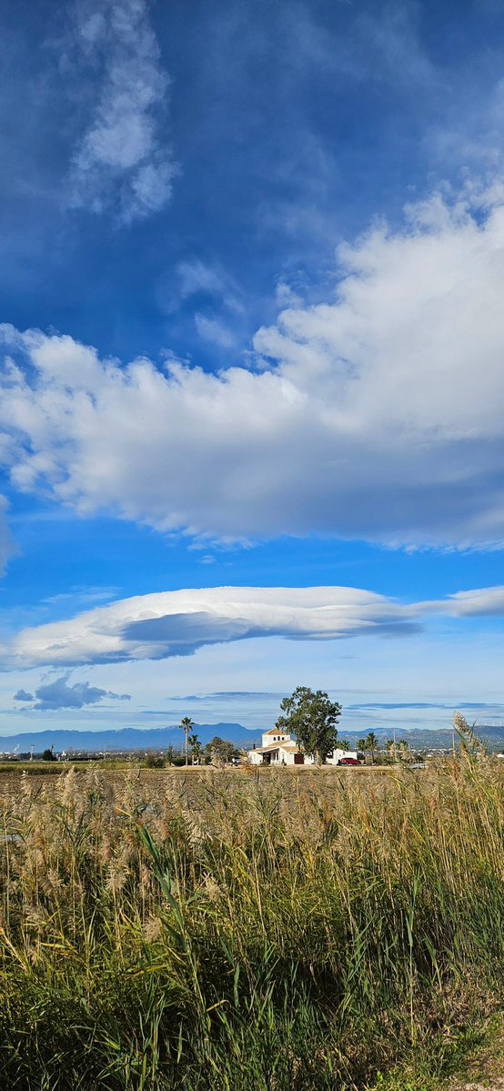 sandrambcrocs's tweet image. Bon dia tot lo dia.