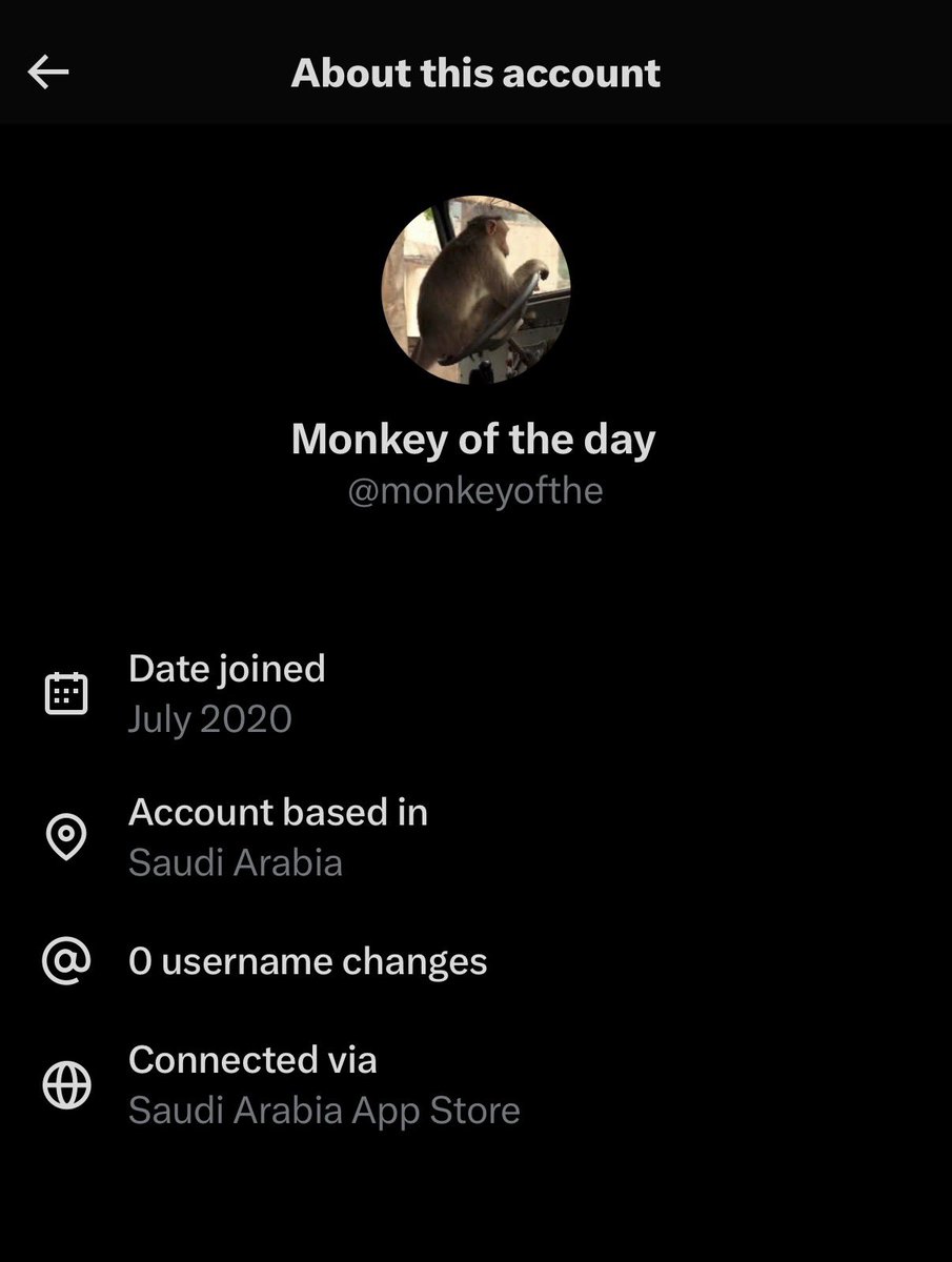 Monkey of the day tweet media