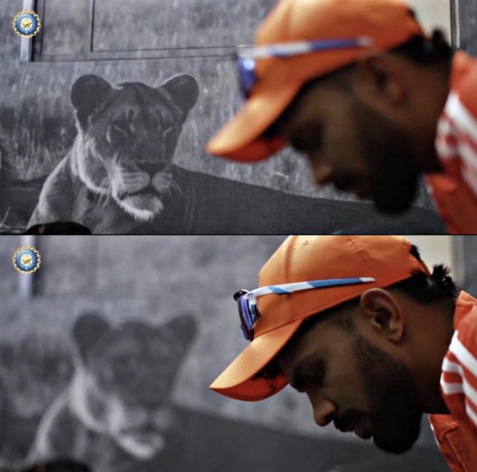 TheSanjuVerse's tweet image. We’ll be there today 🥶

Ruturaj Gaikwad most likely to selected in upcoming ODI Squad. 

#CSK #RuturajGaikwad