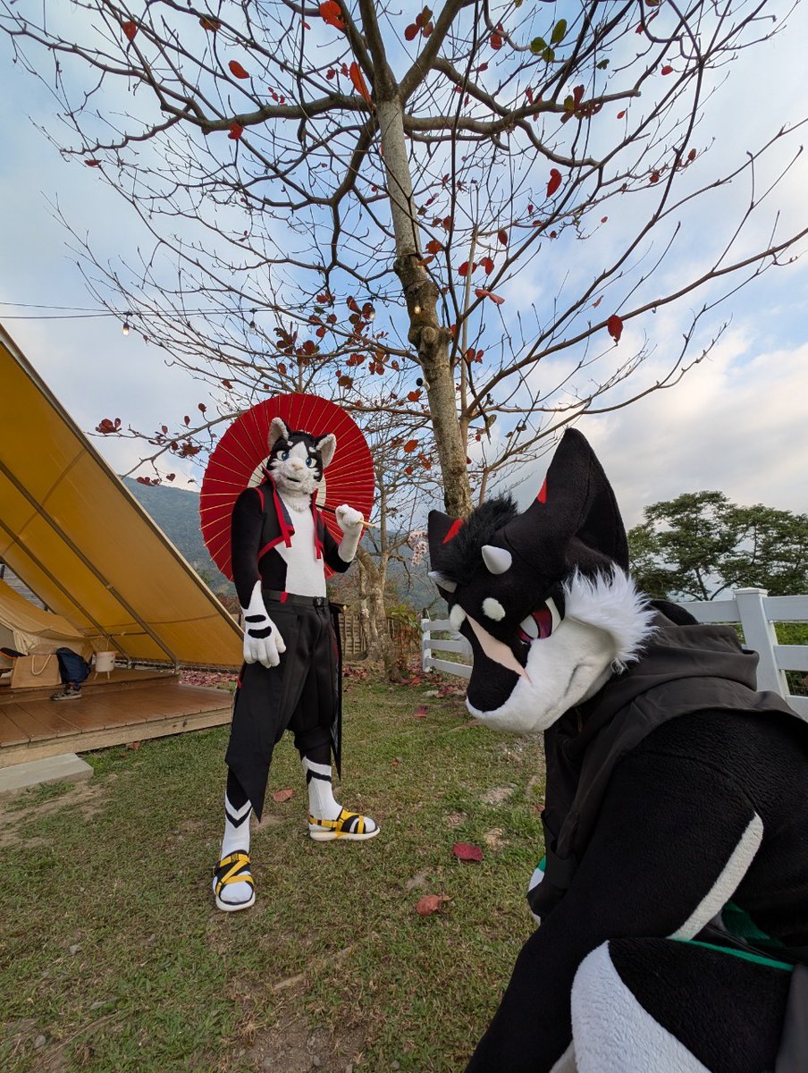 L_BlackCat's tweet image. 🐱✨✨✨