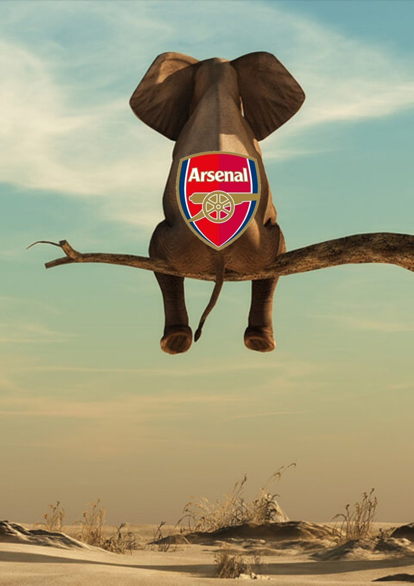 <a href="/ArsenalN7/">Gooner Chris</a> Time to maintain the well deserved top spot for the ELEPHANT 

COYG 🔥💪 

COYG 🔥💪

<a href="/Yu_05Adeel/">Yu_Adeel05🇰🇪🇵🇸</a>