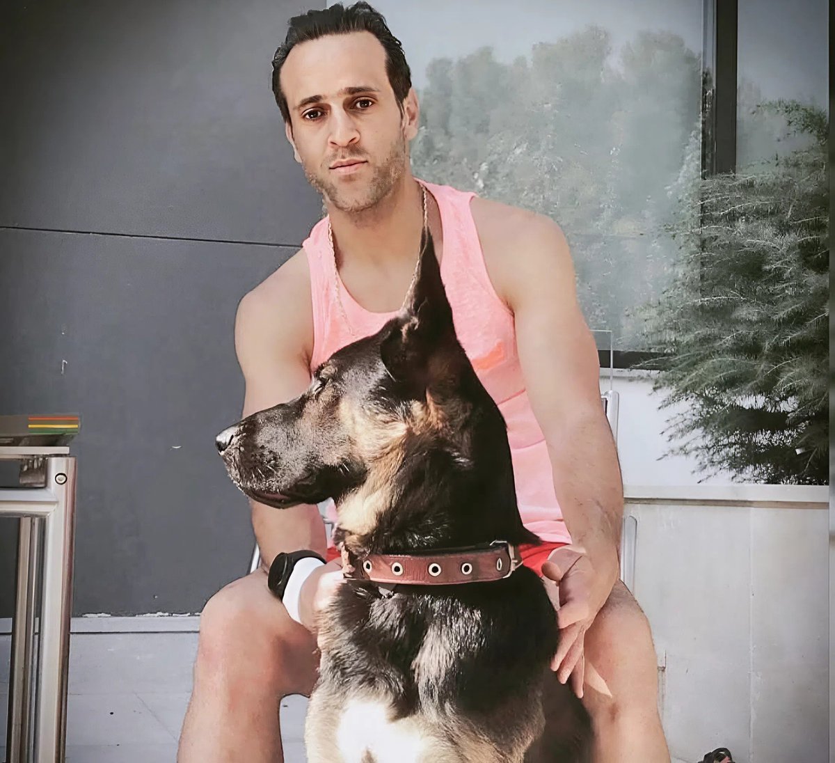 سگ علی کریمی 
شرف داره به خودِ علی کریمی!