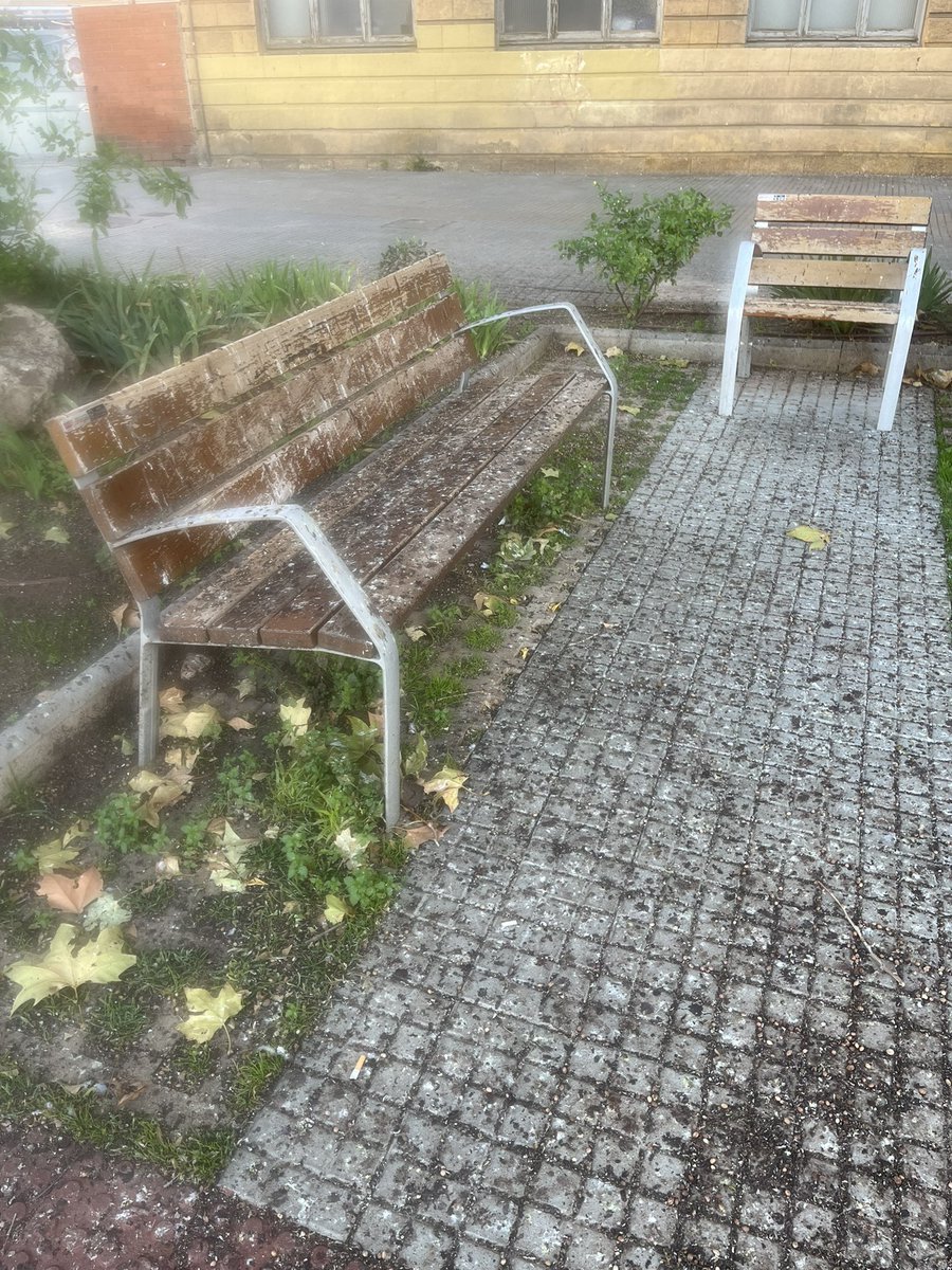 Aquet es l’estat de la #TarragonaBruta <a href="/TGNAjuntament/">Ajuntament de Tarragona</a> no hi ha res a fer.