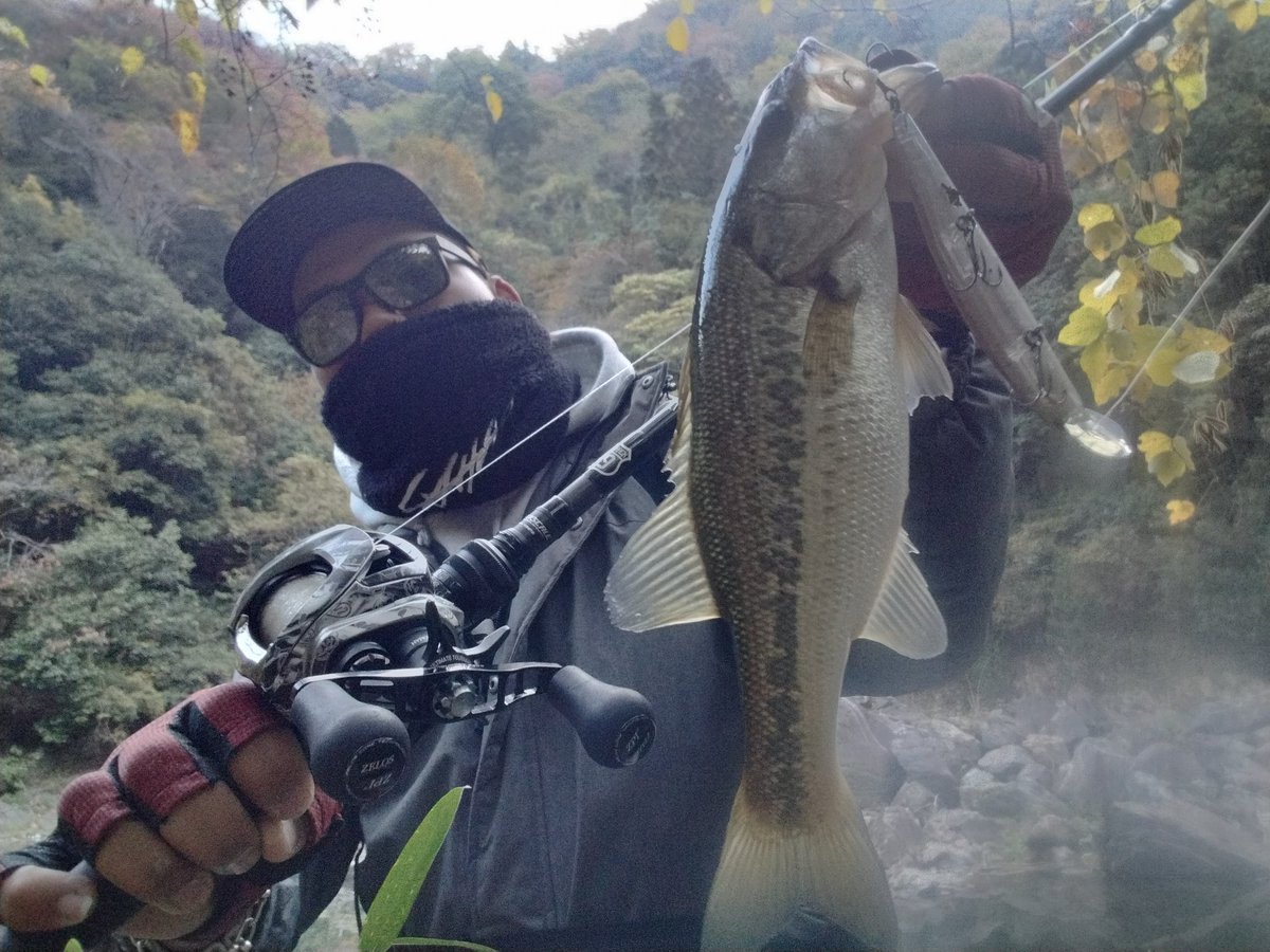 🐼バス釣り名人🐼 (@goGx43gLxP6Q7uk) / Posts / X