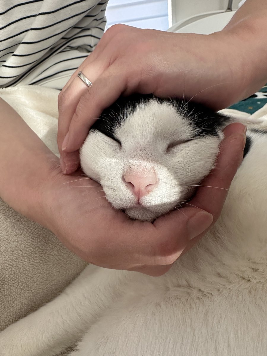 おむすびママ様ご確認ページ おむすびにぎにぎ🍙