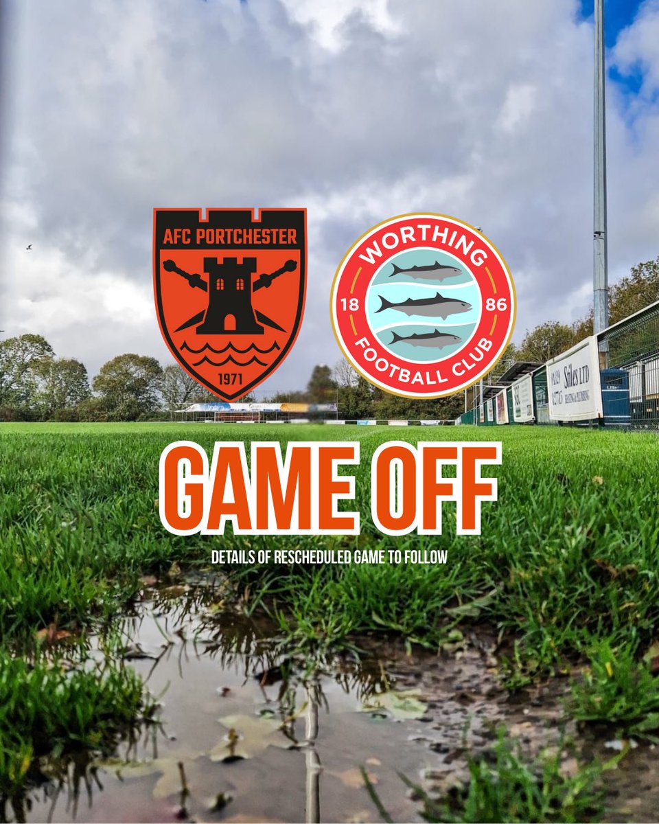 AFC Portchester Ladies tweet media