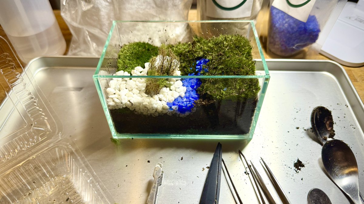 今日は片道約120km走り室蘭へ、そして娘の遠距離恋愛22時まで待機中🙃
（学校の課題が詰まっているそうで日帰りだそうな）

キャンピングカーの中でやってみたかった初めての苔テラリウム作りに挑戦💪

#苔テラリウム
#中古キャンピングカー
#カトーモーター
#DD
#道の駅みたら室蘭