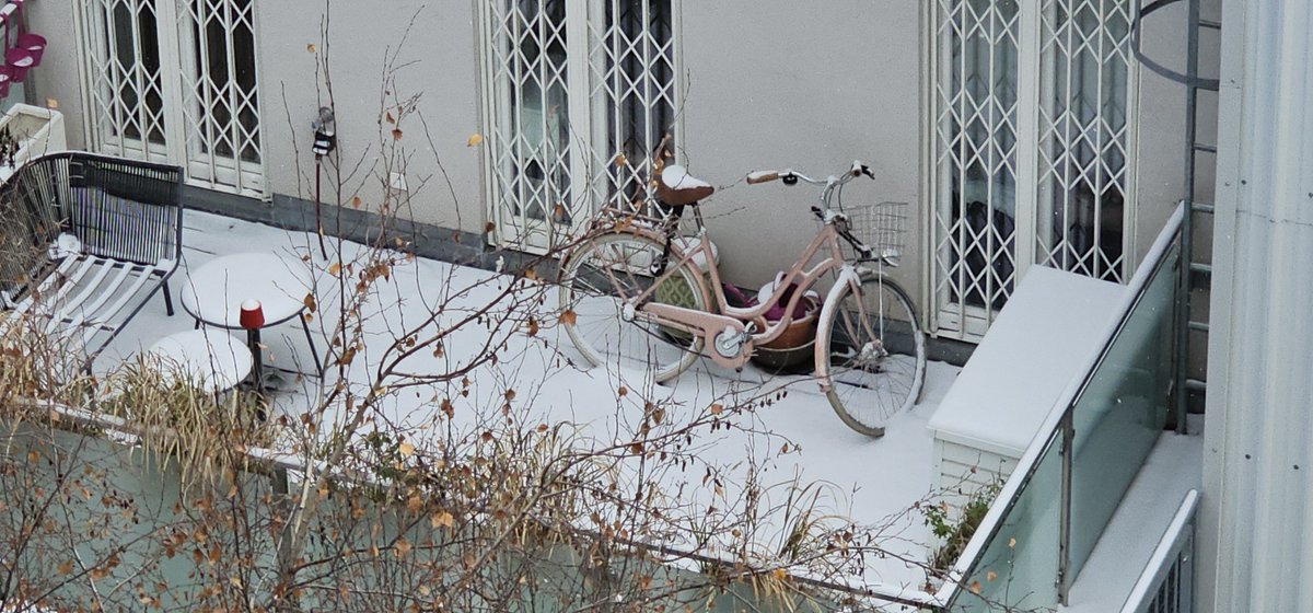 Guten Morgen!
Mein Gegenüber heute. ⬇️
Schönen Sonntag! ❄️🌞🙋‍♀️