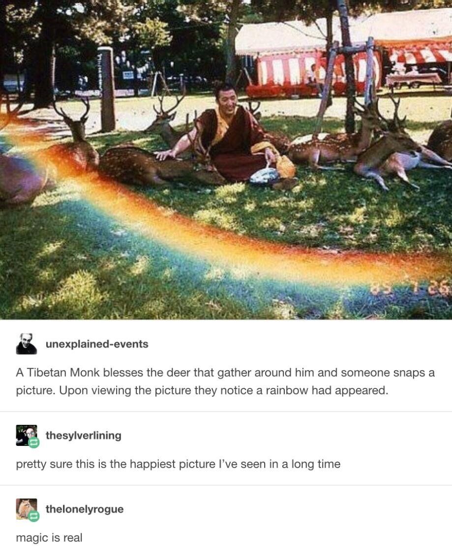 WholesomeMeme's tweet image. 