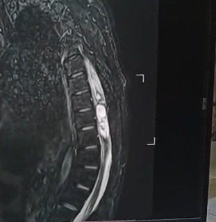 Fauzan A. Hashmi tweet media