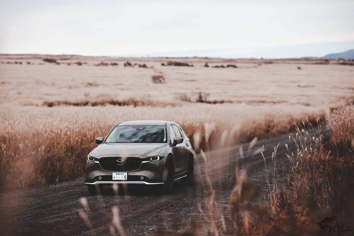 cx5_with_frogs's tweet image. 皆の紅葉を見ながら来年の紅葉に想いを馳せるなど。

#cx5 #withmazda