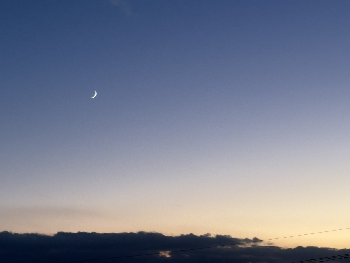 じゃくりん tweet media